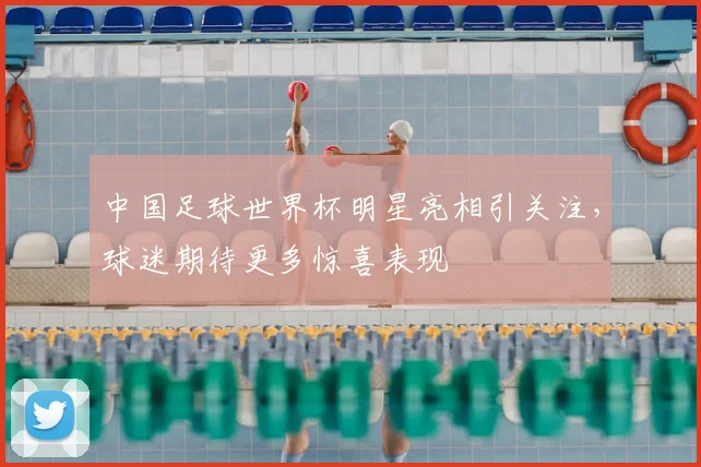 中国足球世界杯明星亮相引关注，球迷期待更多惊喜表现