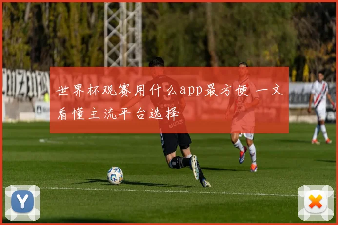 世界杯观赛用什么app最方便 一文看懂主流平台选择