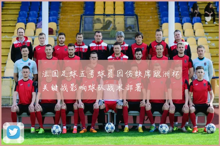 法国足球五号球员因伤缺席欧洲杯关键战影响球队战术部署