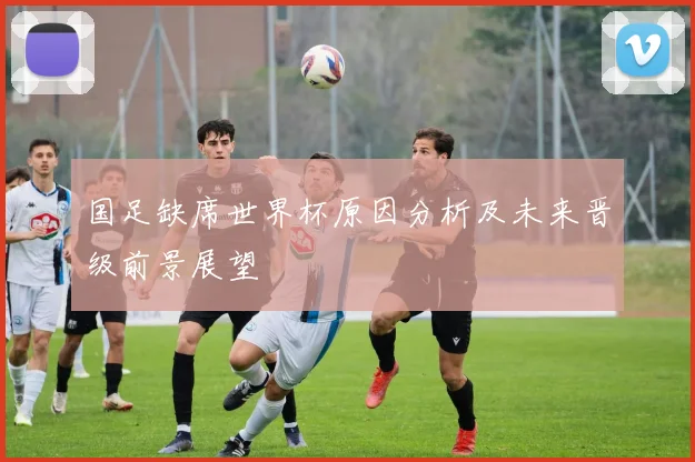 国足缺席世界杯原因分析及未来晋级前景展望