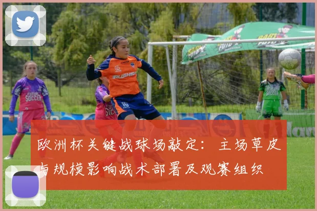 欧洲杯关键战球场敲定：主场草皮与规模影响战术部署及观赛组织